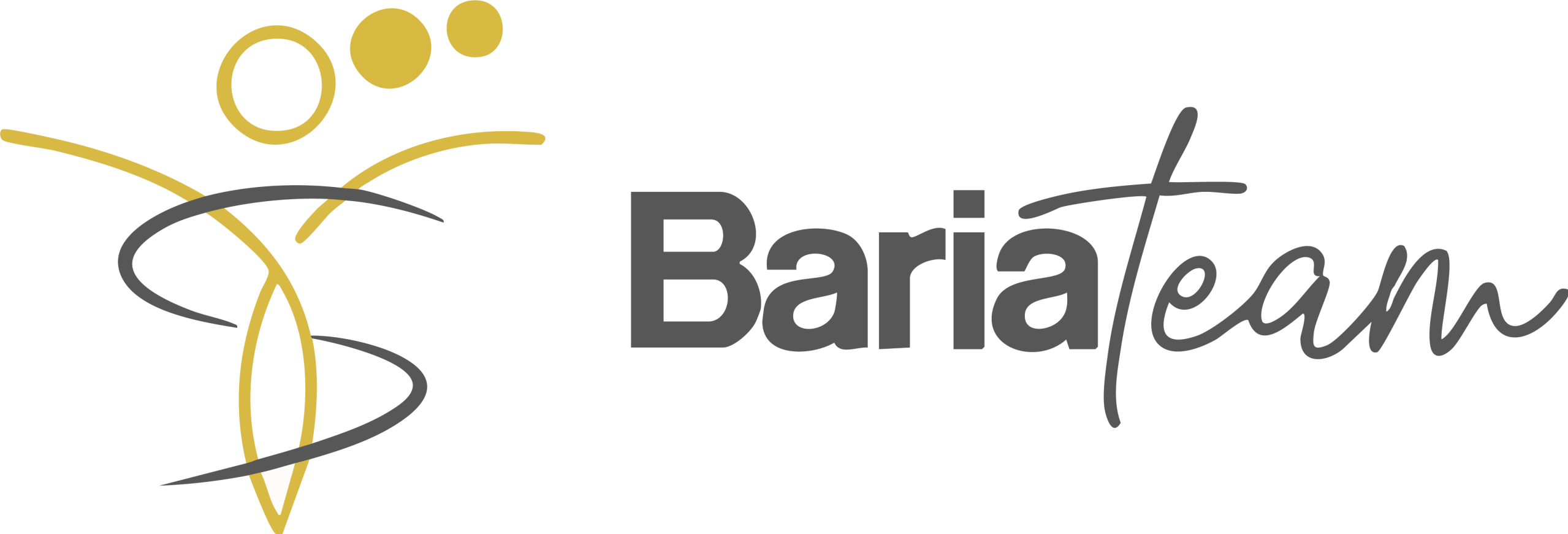logo bariateam site pour personnes obèses opérées de sleeve bypass